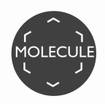 Molecule Coffee