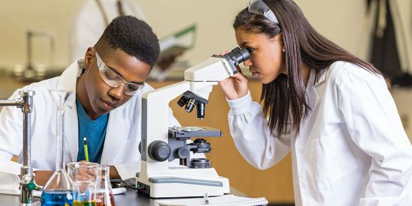 Students work on science lab