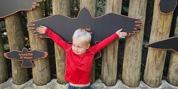 Child mimics owl wingspan at an educational display.