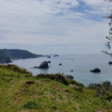 Overlooking Palmer's Beach, Sumeg Village, Patrick's Point, Trinidad, California