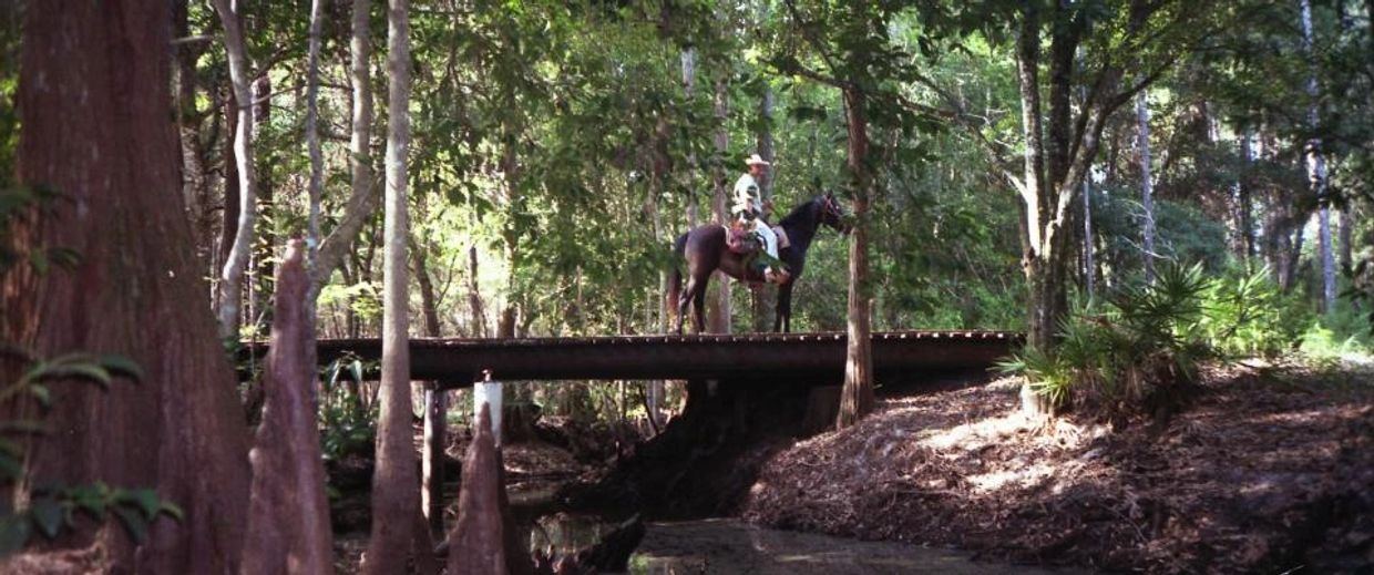 Lake Louisa State Park Horseback Riding, Glamping & Outdoor Activities