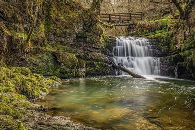 A serene waterfall cascading into a clear pool surrounded by mossy rocks and greenery.