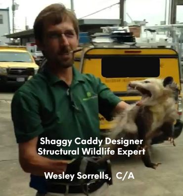 Wesley Sorrells, C/A holding an angry Opossum.