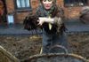 24 Hours In The Past |BBC2 | Darlow Smithson Productions 2015