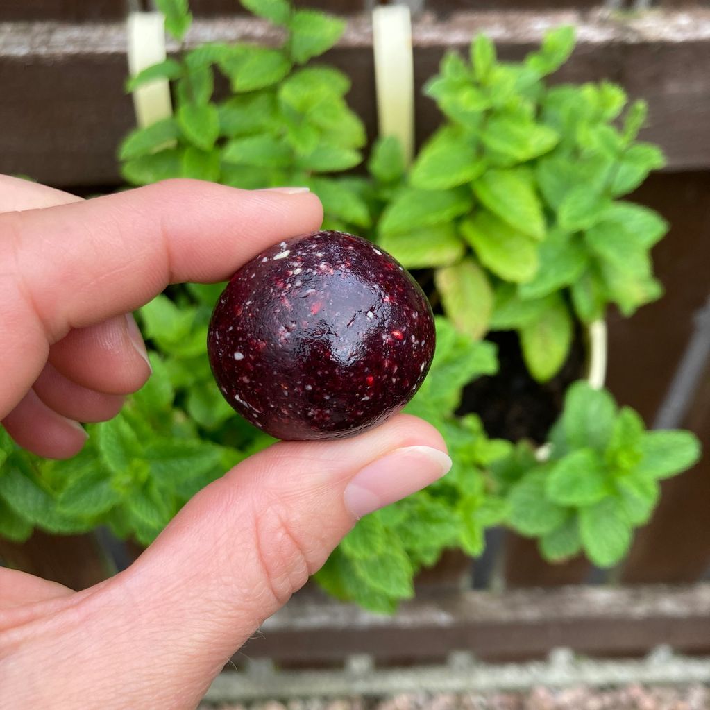 Berry Cashew