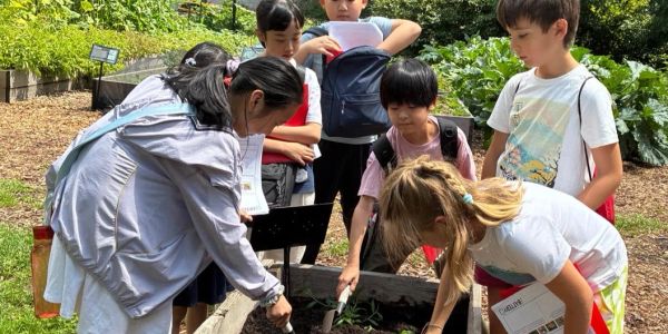 Learning English through Immersion