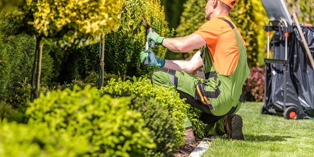 Fayetteville Tree and Shrub Trimming