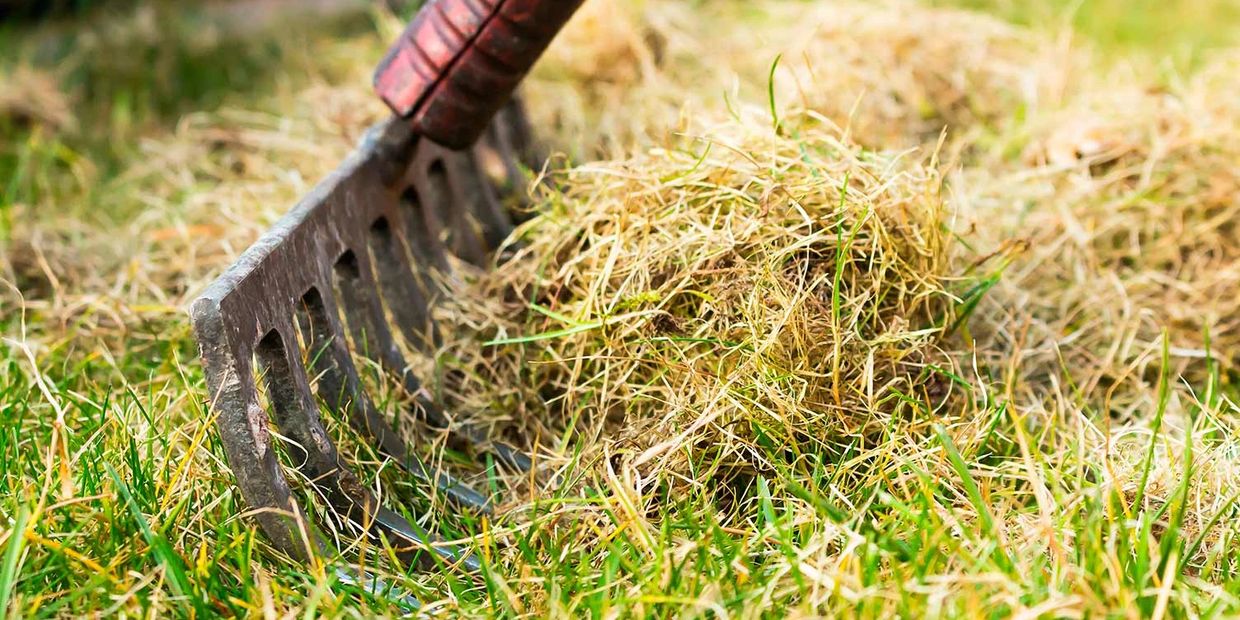 Lawn Care Professional Providing Lawn Dethatching Service in Fayetteville, NC