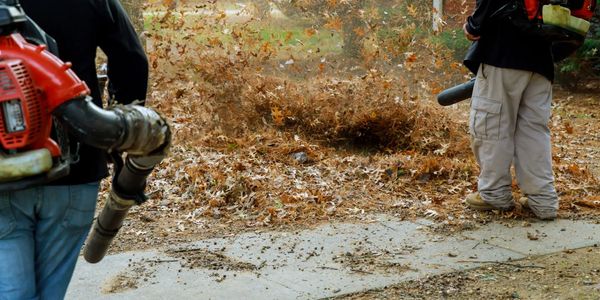 Professional Providing Leaf Removal Service in Fayetteville, NC