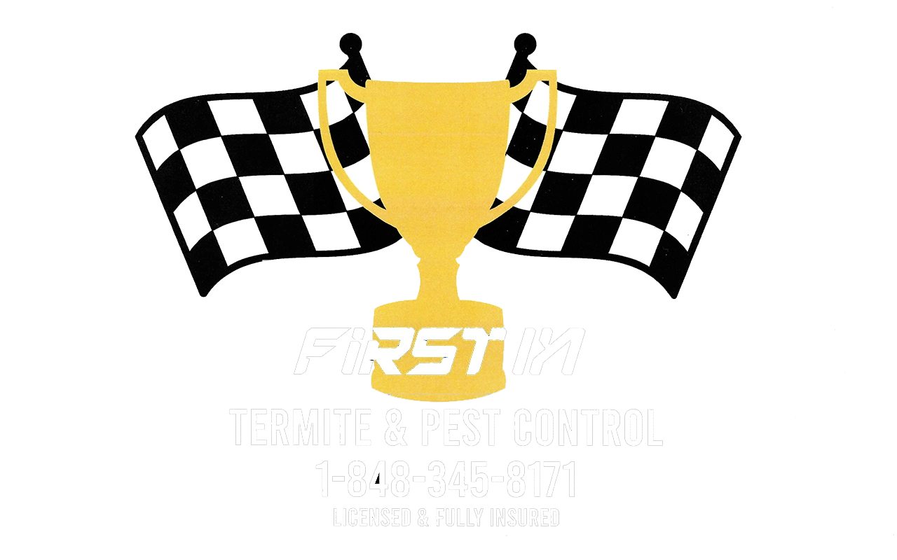 First In Service Logo First In Termite & Pest Control