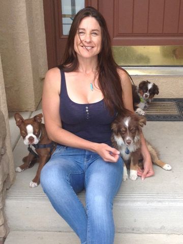 Kathlyn Ross Thorniley was interviewed by Channel 5 News in Colorado. Puppy Service Dog Training