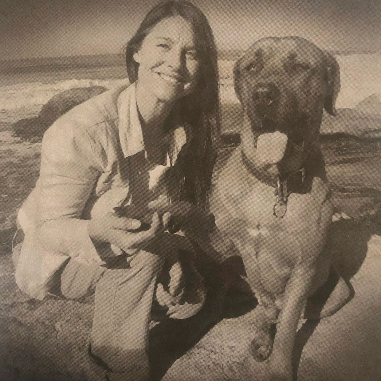 Kathlyn's Professional Dog Training Services