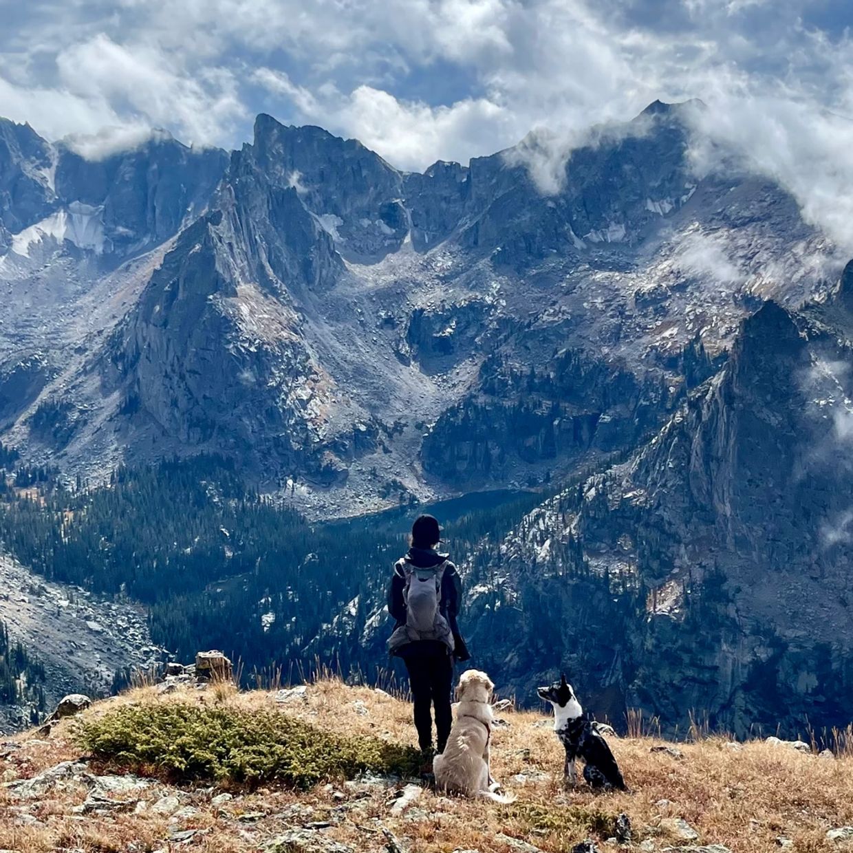 Dog socialization, off-leash dog training, camping with my dog. Hiking with my dog. 