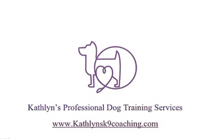 
MY DOG TEACHER