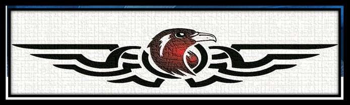 Red Tail Imagery