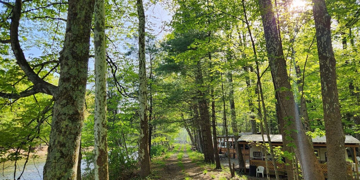 Path below the canopy of trees, between Fishing Creek and campsites on a sunny day.