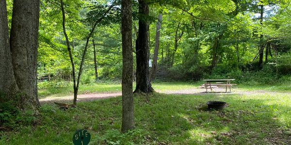 Campsite 1 sits along the creek bank among lush green trees and includes picnic table and firepit.