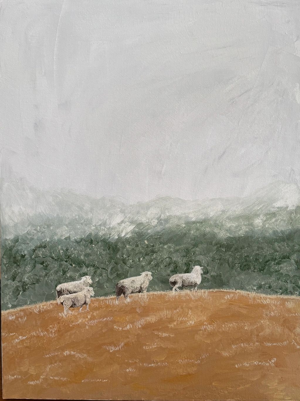 Sheep on the horizon 