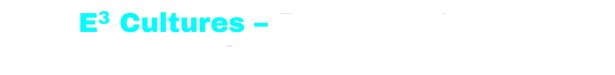 E3 Cultures - Build a culture of leadership