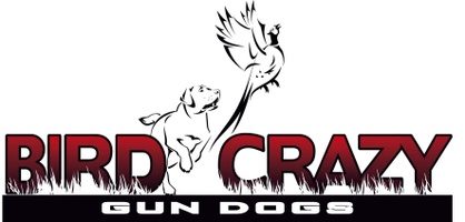 bird crazy gun dogs