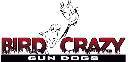 bird crazy gun dogs