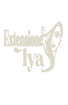 Extensioneslyas