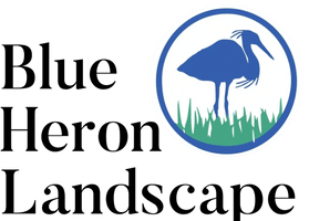 Blue Heron Landscape