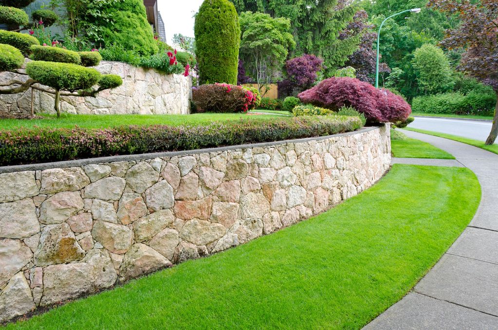 Healthy grass sod turf and shrubs trees plants landscape