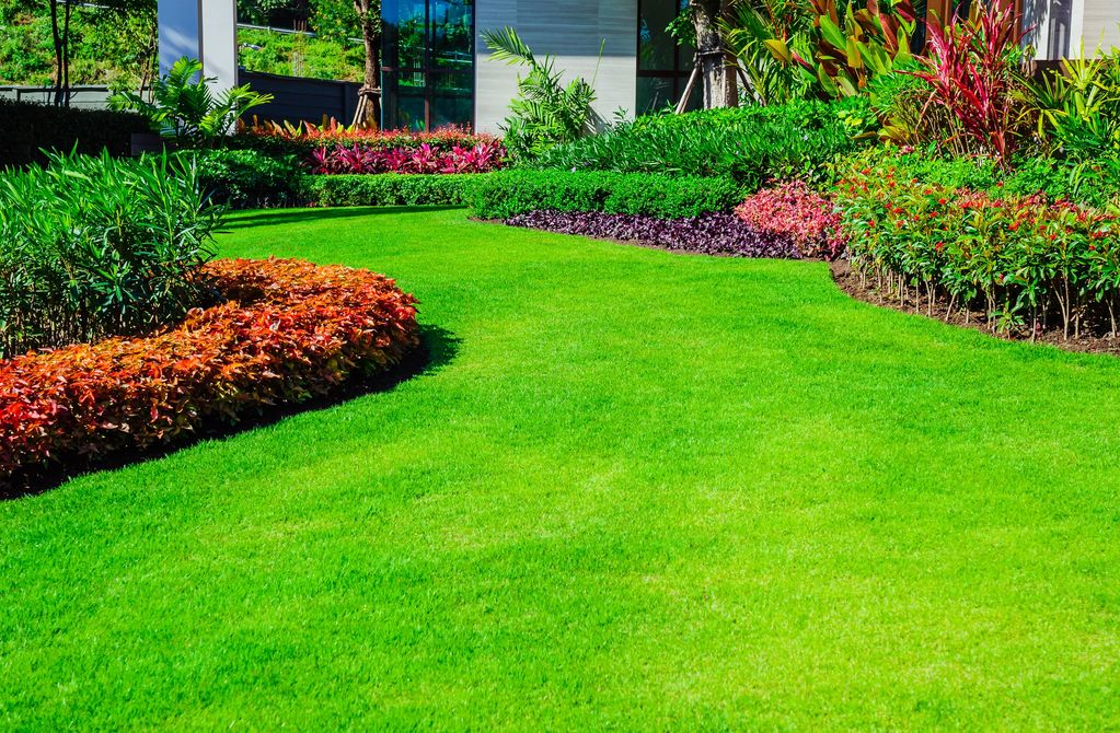 Healthy sod turf grass and plants shrubs and trees pest free pet healthy