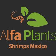 Logo de ALFA PLANTS SHRIMPS MEXICO