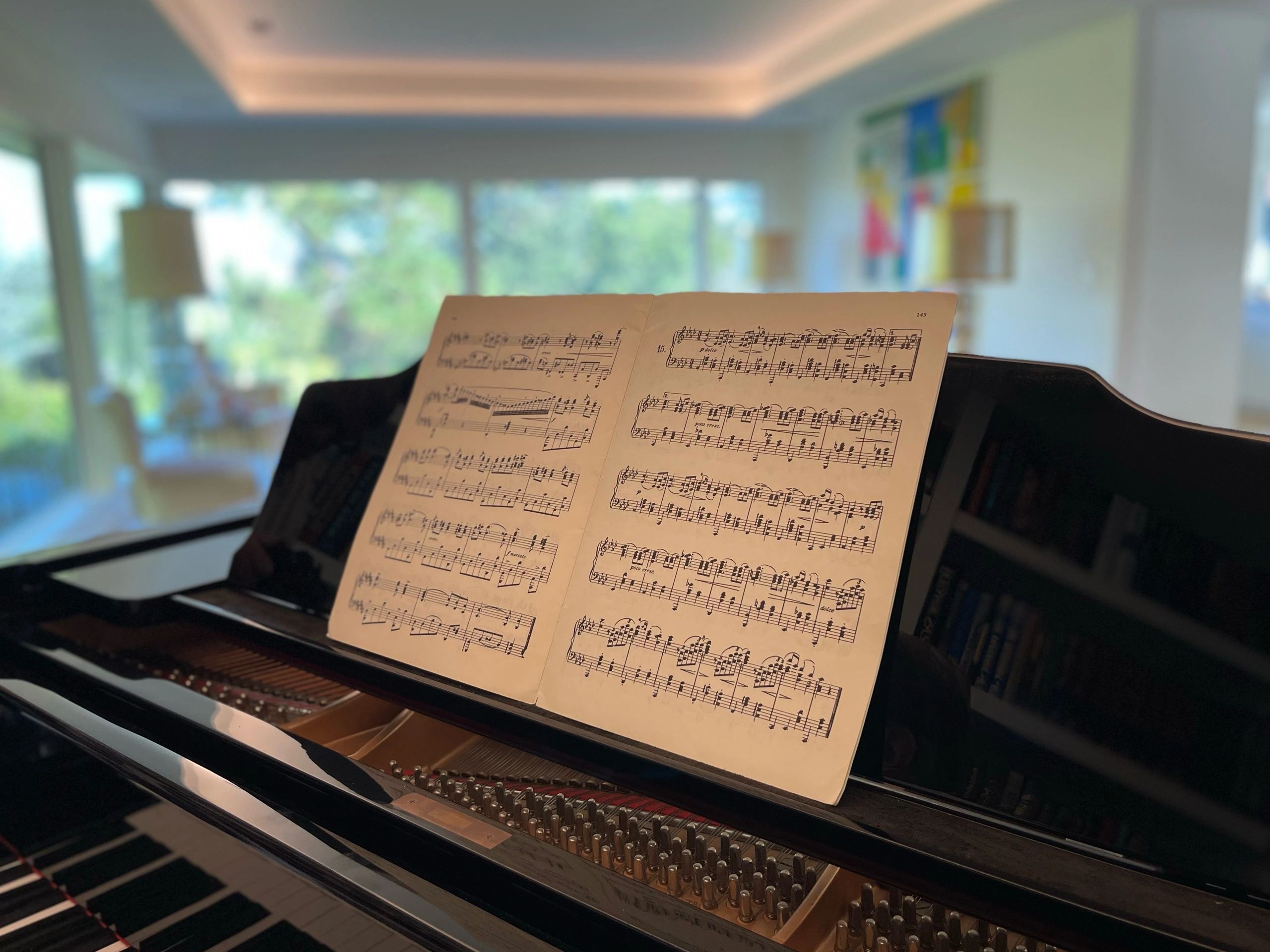 In Home Piano Lesson