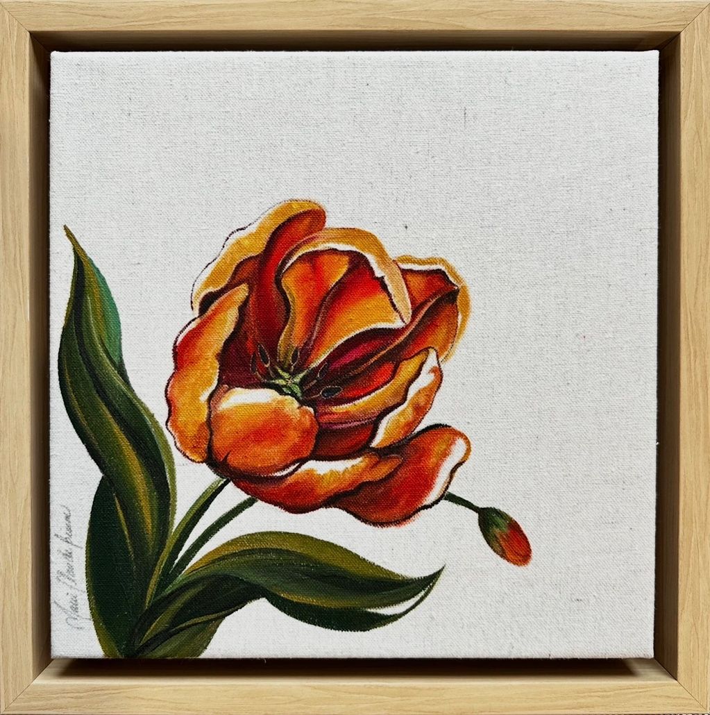 Tulipe Perroquet orangé