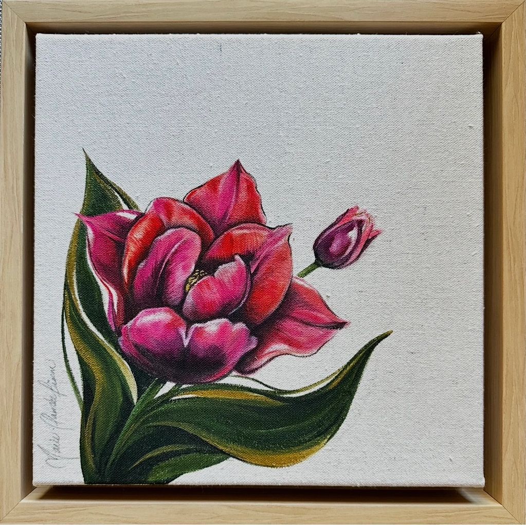 Tulipe Slawa