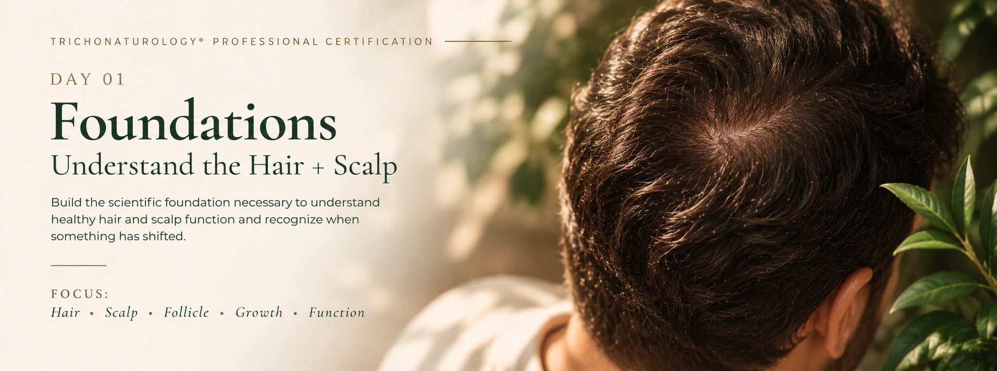 Professional certification course on hair and scalp foundations.