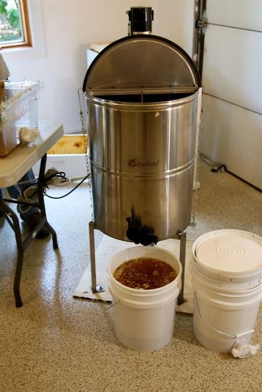 Extracting honey