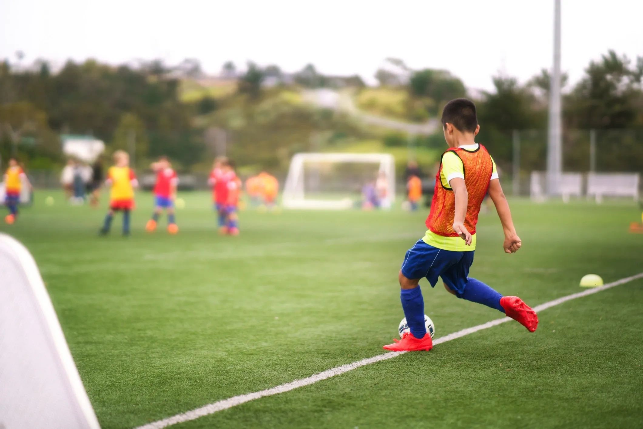 Eagles of Stamford Soccer Academy