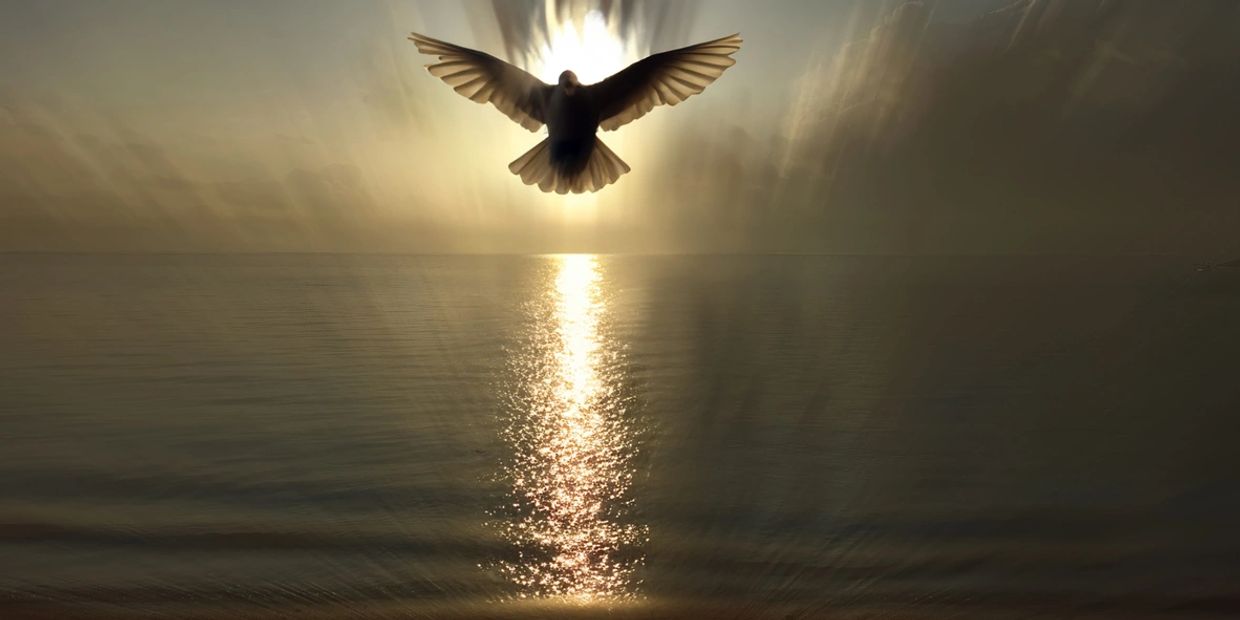 A bird flying in front of the sun over calm water.