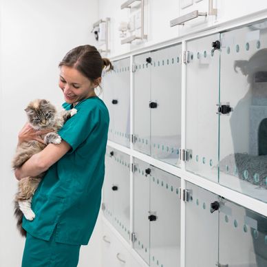 A nurse holding a cat outside a pen of kennels