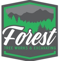 Forest Tree Works and Excavating