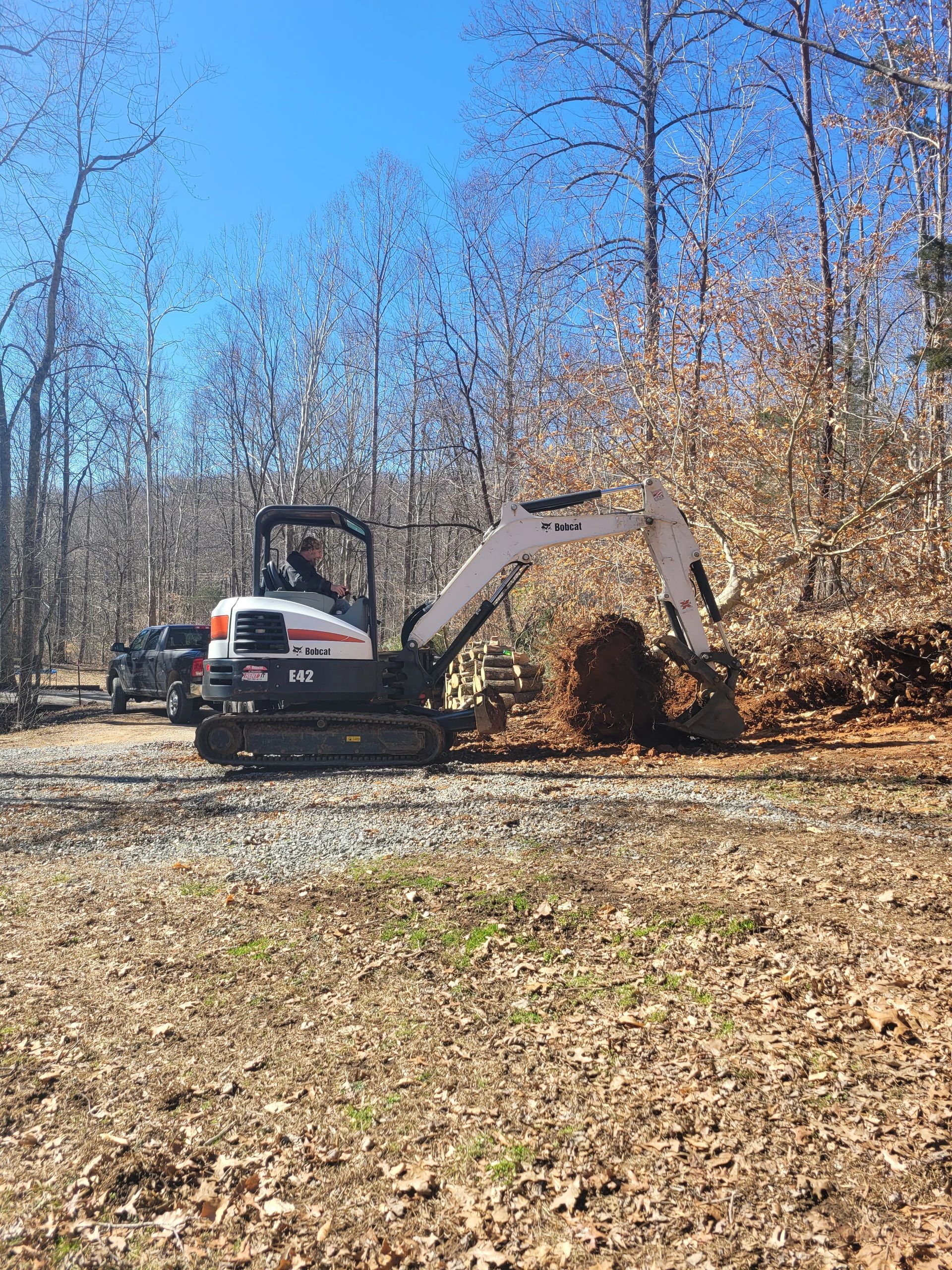 Forest Tree Works and Excavating