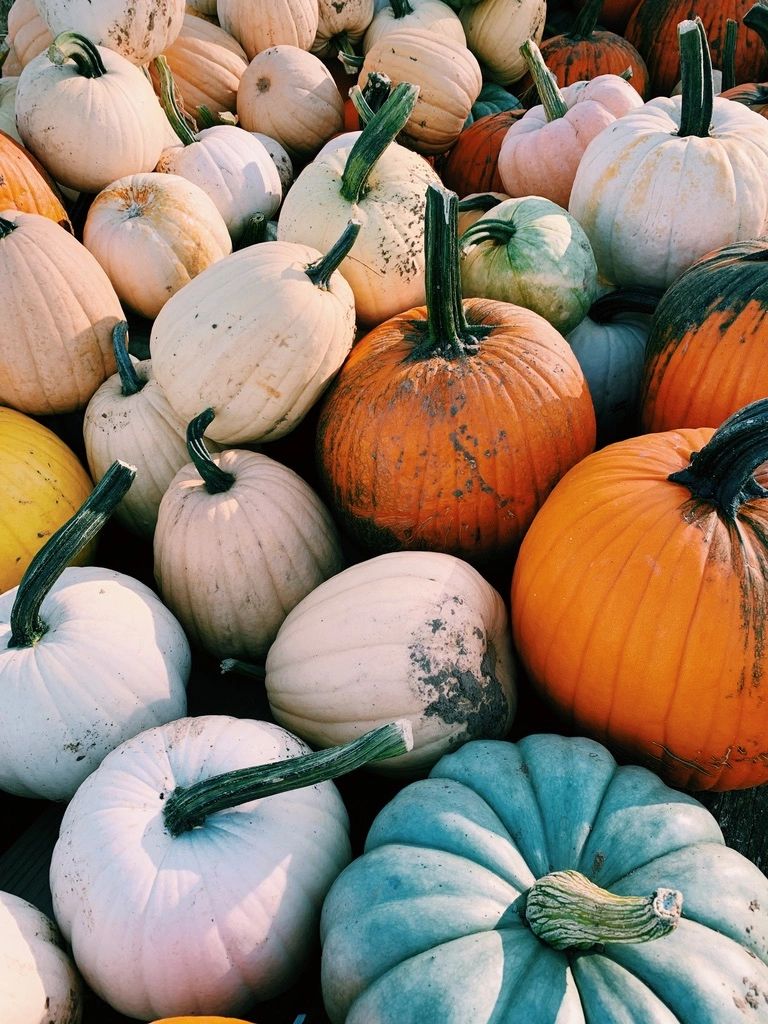 Bittersweet Blessings Farm