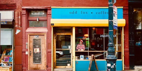 odd fox coffee greenpoint 