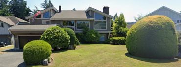 A modern house with well-maintained bushes and lawn.