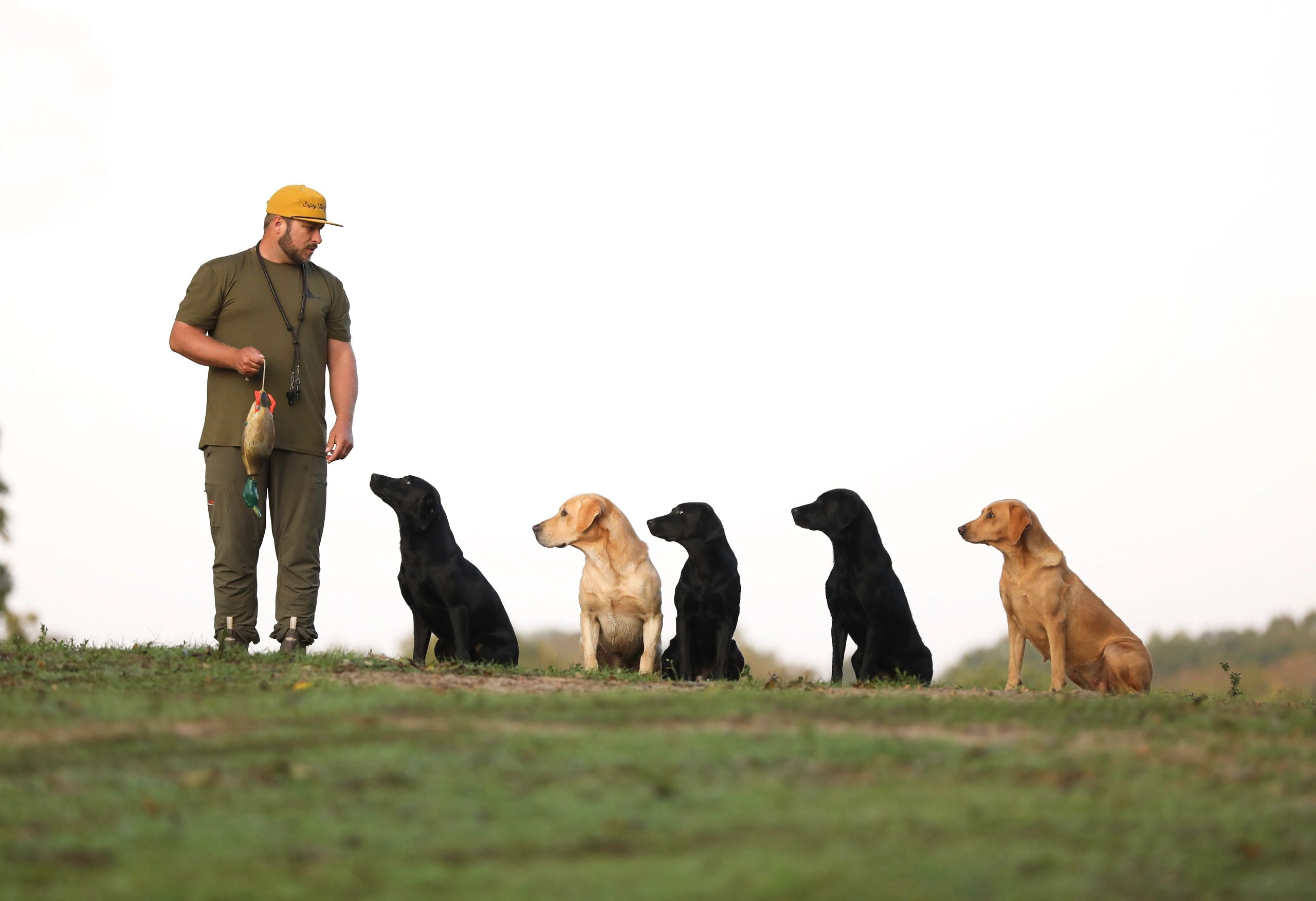 started hunting dogs for sale