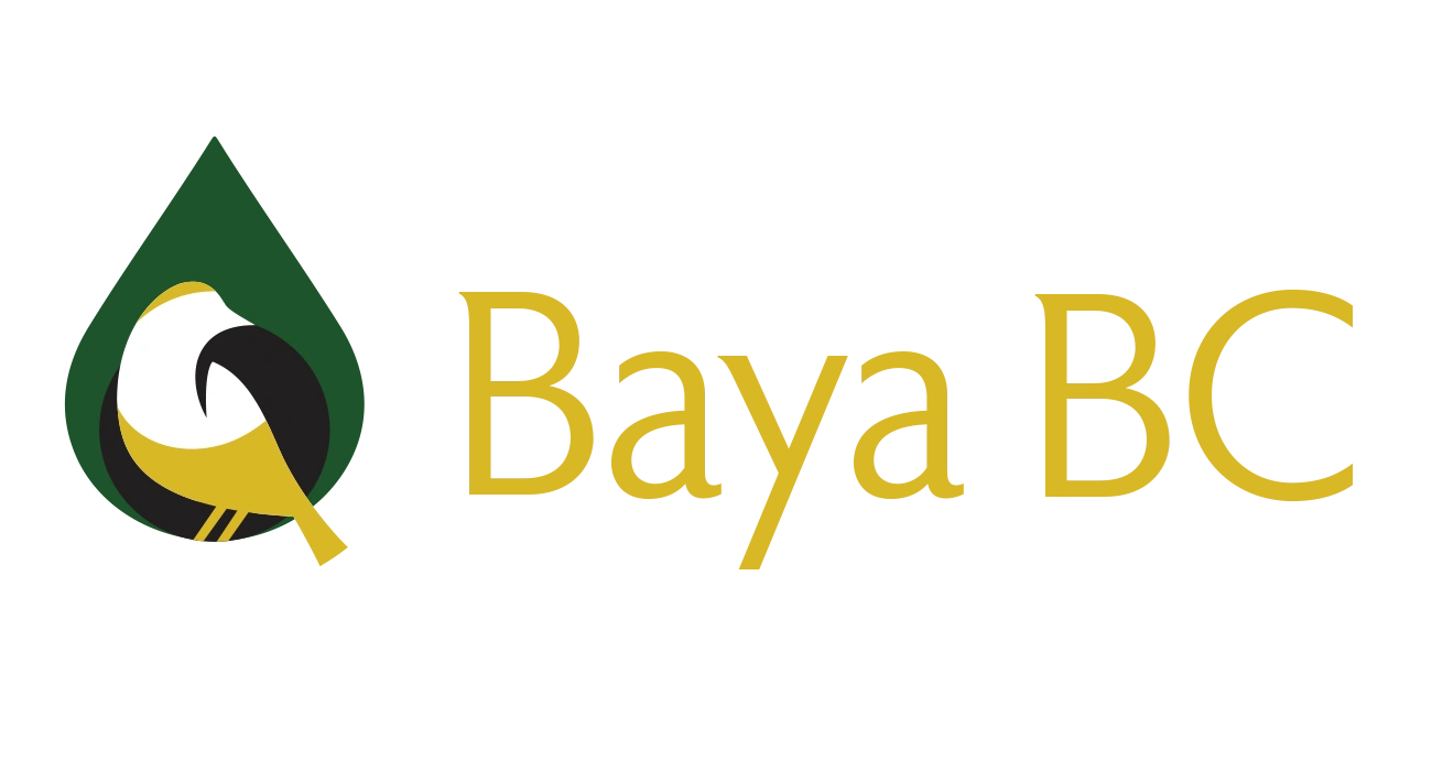 BAYA B.C. LTD logo
