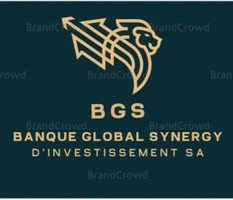 BANQUE GLOBAL SYNERGY D'INVESTISSEMENT SA. LLC