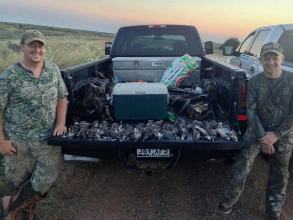 Two hunters with their truck bed full of hunting gear and game.