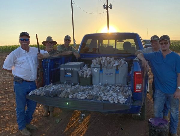 Group of men posing with bags of harvested produce in a truck at sunset.