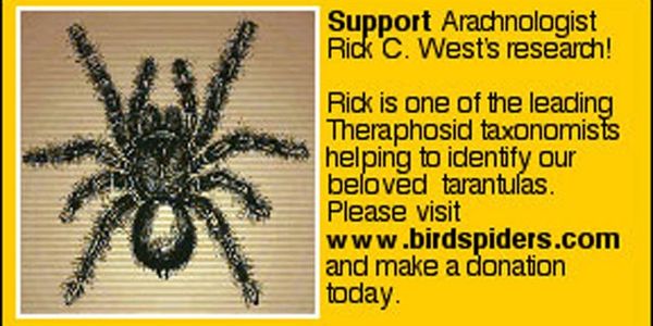 Rick West, Arachnologist