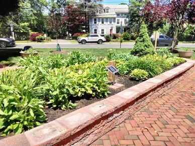 A vibrant garden bed with lush greenery and a brick pathway in front of a residential street.